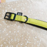Collier 47-57cm / 2,5cm