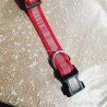 Collier 38-63cm / 2,5cm