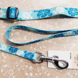 Collier 45-65cm / 2,5cm + Laisse 1,2m