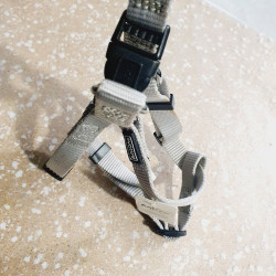 Harnais max 50cm / 1,5cm