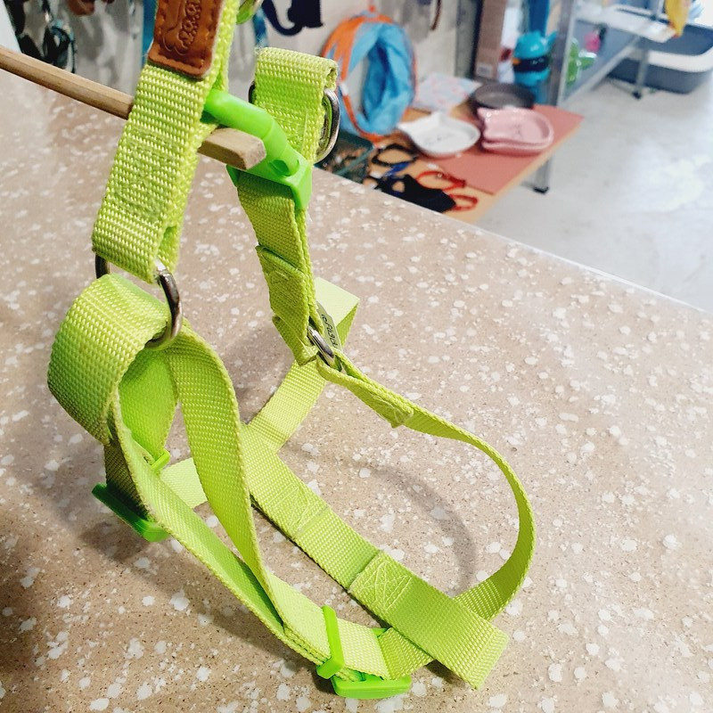 Harnais max 60cm / 2cm