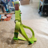 Harnais max 60cm / 2cm