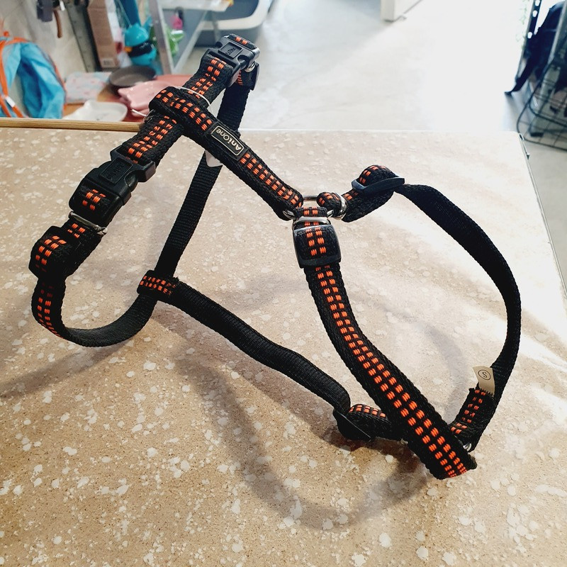 Harnais max 48cm / 1,5cm