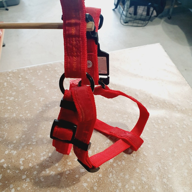 Harnais max 70cm / 2cm