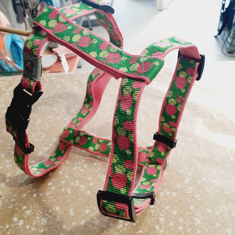 Harnais max 80cm / 2,4cm