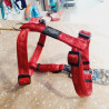Harnais max 75cm / 2cm
