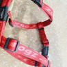 Harnais max 75cm / 2cm