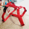 Harnais max 95cm / 2,5cm