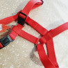 Harnais max 95cm / 2,5cm