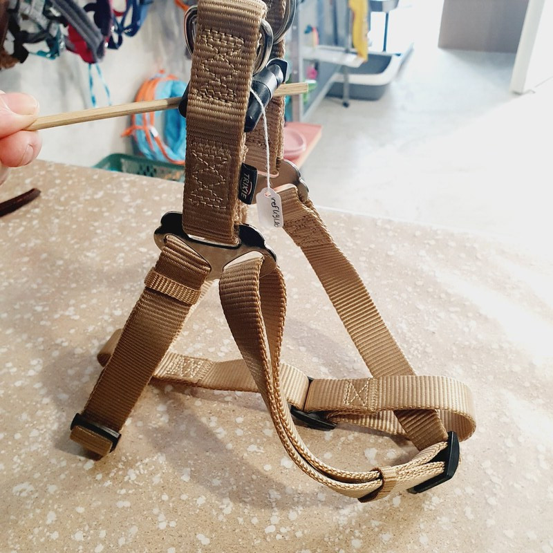 Harnais max 75cm / 2,5cm