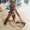 Harnais max 75cm / 2,5cm