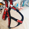 Harnais max 115cm / 3,8cm