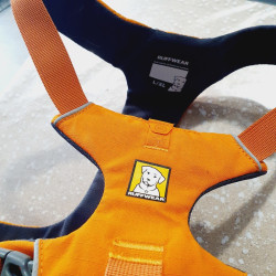 Harnais max 100cm / 2,6cm