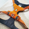 Harnais max 100cm / 2,6cm