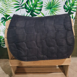 Tapis Geologic