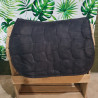 Tapis Geologic