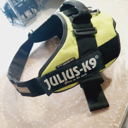Harnais Julius T3 max 105cm