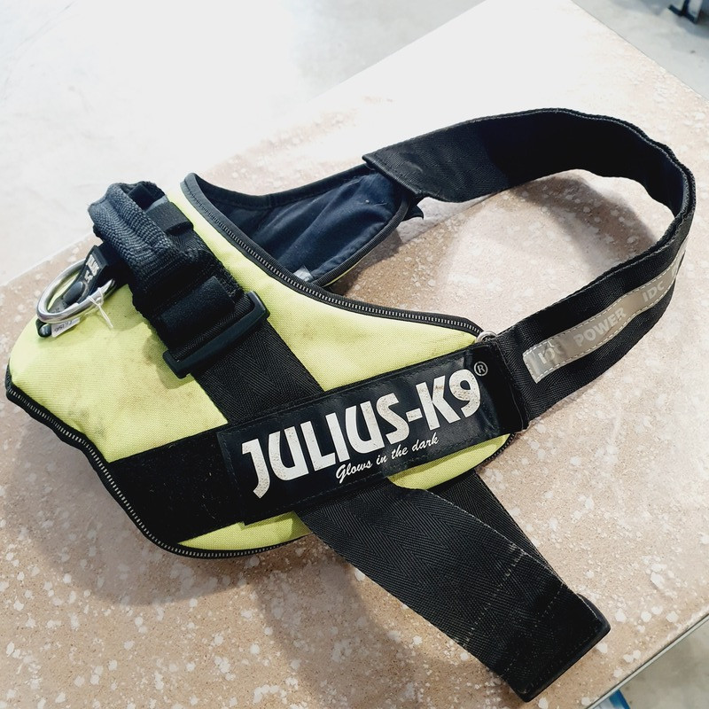 Harnais Julius T3 max 105cm
