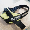 Harnais Julius T3 max 105cm