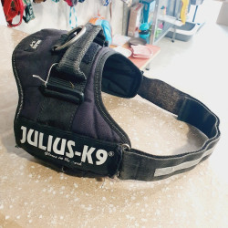 Harnais Julius T1 max 84cm