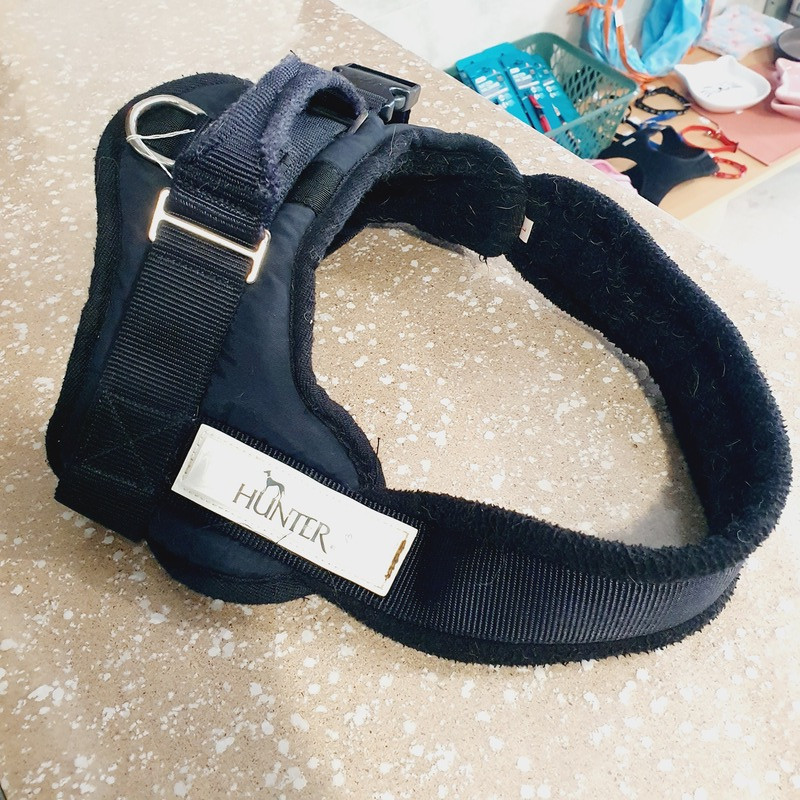 Harnais Hunter L max 80cm