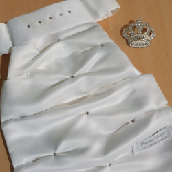 Plastron