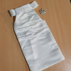 Plastron