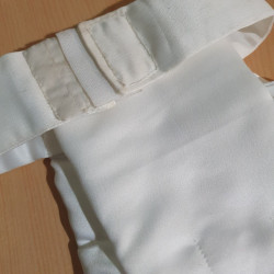Plastron