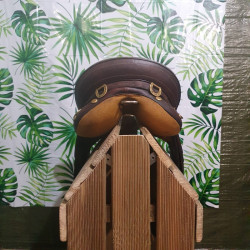 Selle Australienne Lakota