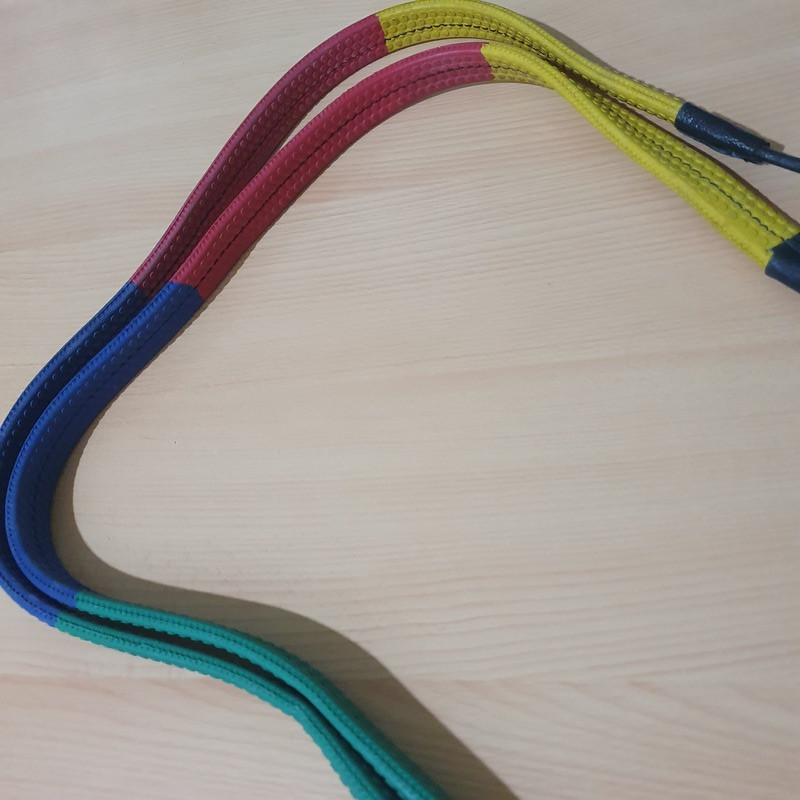 Rênes caoutchouc 2x140cm