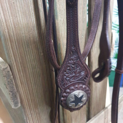 Bridon Western cheval