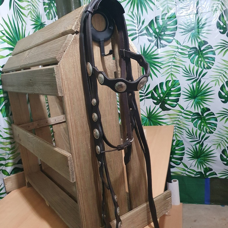 Bridon western Cheval