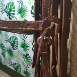 Bridon Western Cheval