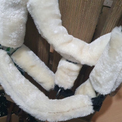 Licol Cob