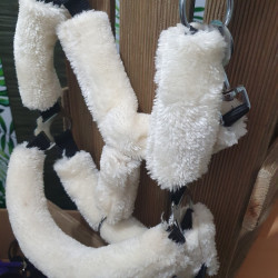 Licol Cheval