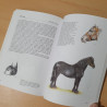 Chevaux