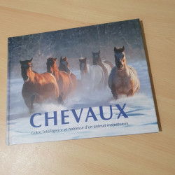 Chevaux