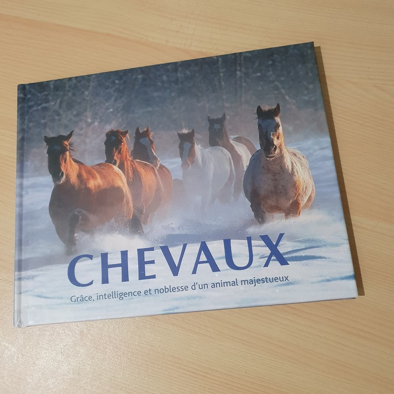 Chevaux