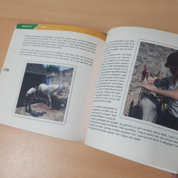 Tout savoir sur les galops 1 à 4