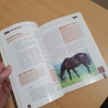 Avoir un cheval