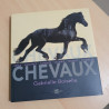 Chevaux
