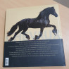 Chevaux