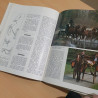 Connaissance des chevaux