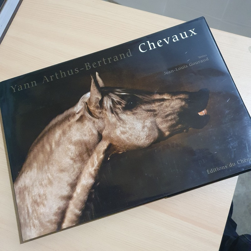 Chevaux