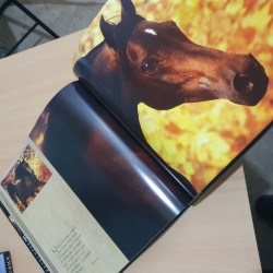 Ma vie avec les chevaux