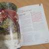 L'équitation western