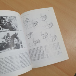 Le cheval indiscipliné
