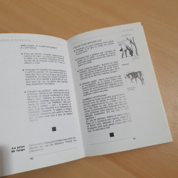 Le cheval d'extérieur