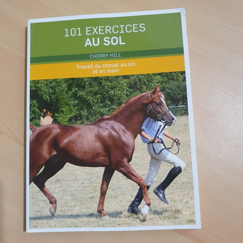 101 Exercices au sol