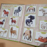 A cheval! 1
